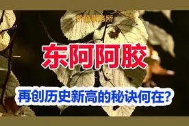 东阿阿胶，股价再创历史新高的秘诀何在？2023年报深度分析视频封面