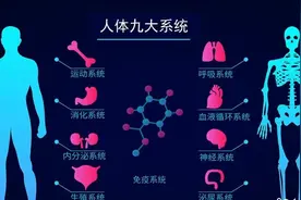 人体九大系统之免疫系统视频封面