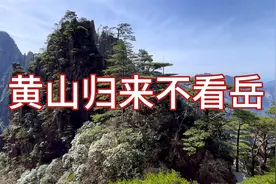 黄山之旅上集，西海峡谷逍遥游，以逸待劳乐悠悠。好攻略要分享！视频封面