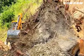 挖掘机半山腰修路，挖出一个巨大的树根，师傅直接往山下视频封面