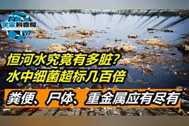 恒河水究竟有多脏？水中细菌超标几百倍，河里到处都是垃圾！视频封面