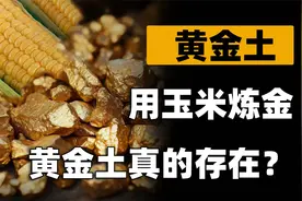 河南某农村有一种土，放玉米棒子就能炼出黄金？专家：这是真的！