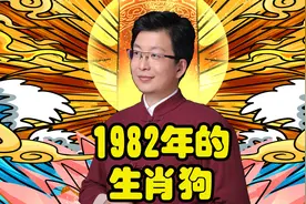 1982年出生的生肖狗视频封面