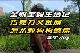 【记录生活vlog】怎么教狗狗憋尿？乱尿快崩溃了！就是学不会啊！