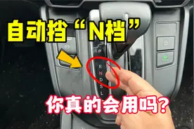 自动挡N档的4个作用，老司机实车演示给你看，学会了省油又安全视频封面