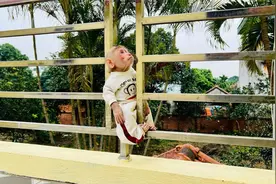 比比是一只小猴子，他有一个习惯，就是一醒来就找妈妈视频封面