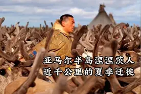 西伯利亚亚马尔半岛，涅涅茨牧民，夏季近千公里的迁徙之旅！视频封面