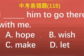 hope/wish 表示 希望 时的区别，记住一句话，从此不再混淆视频封面