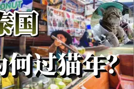 十二生肖为何各国不一样？我们是兔年，为何泰国过猫年？视频封面