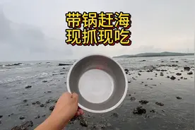 带锅到海螺岛赶海，大海螺都吸在石头上，现抓现吃很鲜美视频封面