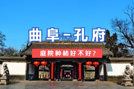 【曲阜-孔府】庭院种柿子树到底好不好？视频封面