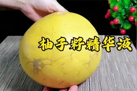 太神奇了！柚子籽居然可以做精华液，简直就是纯天然面膜