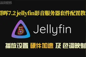 群晖7.2版本jellyfin影音服务器教程5播放设置硬件加速及色调映射视频封面