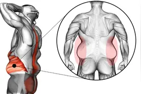 每天坚持5分钟，轻松甩掉腰间游泳圈！