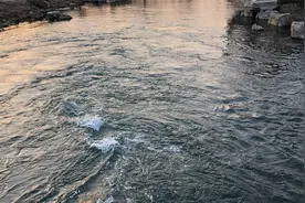 全世界人民大团结万岁视频封面