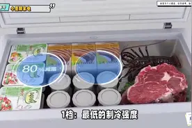冰柜1-6档位哪个最冷？揭秘冰柜最佳冷藏秘诀！