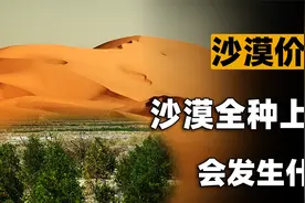 我国130万平方公里的沙漠，不能全部种树吗？专家：会毁了沙漠！视频封面