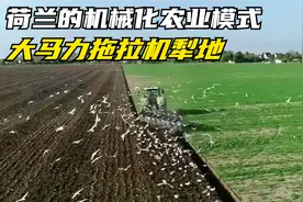 荷兰机械化农业，大马力拖拉机犁地，一小时150亩视频封面