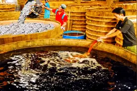 你知道鱼油是怎么生产制造出来吗？真的是震惊到我了！