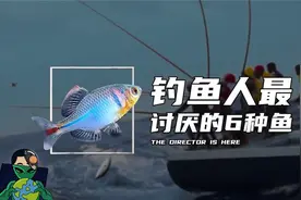 钓鱼人最讨厌的6种鱼视频封面