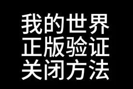 我的世界正版验证关闭教程