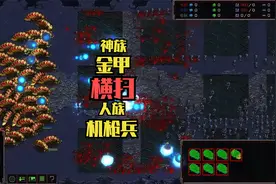 星际争霸：神族电脑AI金甲虫横扫人族机枪兵 血流成河