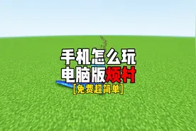 【我的世界】手机玩java烦人的村民保姆教程！！