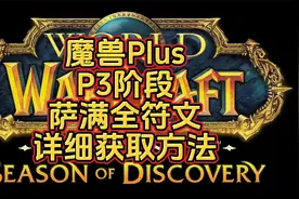 魔兽世界Plus  P3阶段 萨满全符文  详细获取方法视频封面