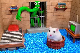 小仓鼠闯关，挑战僵尸迷宫，被抓住就会变僵尸鼠，它能成功逃离吗