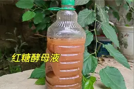 红糖酵母液的2种制作方法和用法：是叶面肥、生根肥，还是发酵剂
