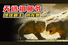 水龙兽堪称“天选祖师爷”，躲过天灾成为三叠世地球霸主，纪录片视频封面