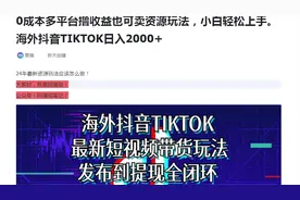 海外抖音TIKTOK日入2000+