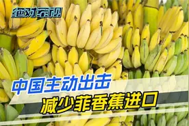 菲律宾求锤得锤，中国出击大幅减少菲香蕉进口，东南亚的机会来了视频封面