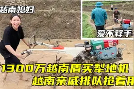 花1300万越南盾买犁田机，越南老丈人稀罕坏了：亲戚排队抢着用！视频封面