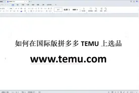 亚马逊自发货之TEMU选品法