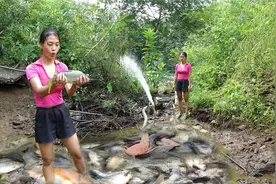 越南赶海抽水坑抓鱼，当地美女带抽水机打掉陈年老坑，大家见识下视频封面
