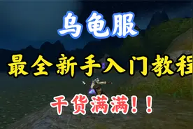 乌龟服：最全的新手入门教程，干货满满，值得你看完~