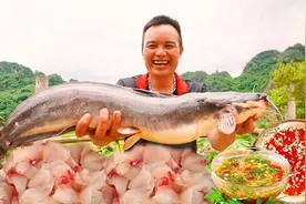你知道越南人是如何用大鲶鱼做刺身吗？他们的吃法真是生猛，厉害