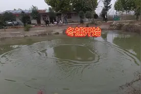 冬天捕鱼，鱼都在草里怎么办，想抓到鱼教你一个小技巧视频封面