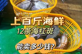 今年第一次放排钩收获上百斤海鲜，还有12条海红斑，看能卖多少钱视频封面