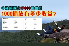 17000审核后，1000播放量收益究竟会有多少？视频封面