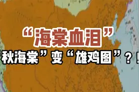 “海棠血泪”——“秋海棠”如何变成“雄鸡图”？！