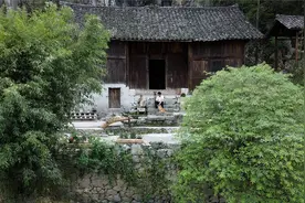 改造老房院坝视频封面