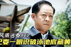 纪委书记的眼睛有多毒？一眼识破贪官家泳池有猫腻，撬出上亿黄金视频封面