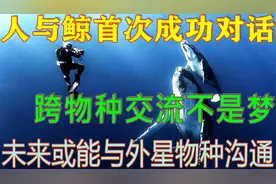 人与鲸首次成功对话，跨物种交流不是梦，未来或能与外星物种沟通视频封面