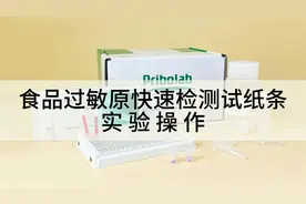 过敏原快速检测试纸条实验操作