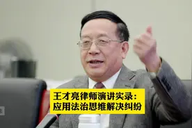 王才亮律师演讲实录：应用法治思维解决纠纷视频封面