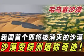 我国治理沙漠的奇迹！毛乌素沙漠变绿洲，茫茫黄沙如今遍地翠绿！