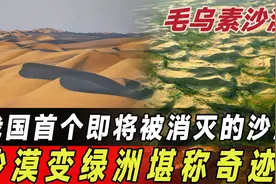 我国治理沙漠的奇迹！毛乌素沙漠变绿洲，茫茫黄沙如今遍地翠绿！视频封面