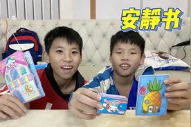 兄弟俩自制安静书，还能自编故事情节，也太好玩了吧视频封面